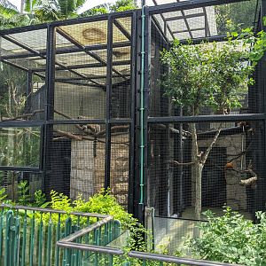 Cages for Ring-tailed Lemurs and Lion Tamarins
