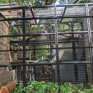 Cage for Black and White Ruffed Lemurs (Varecia variegata)