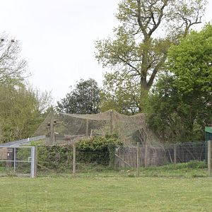 Southern Caracara Enclosure, a far view
