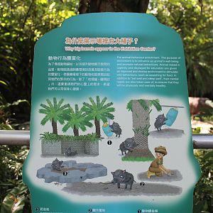 Taiwan Wild Pig (Sus scrofa taivanus) signage