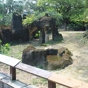Addax and Somali Wild Ass enclosure