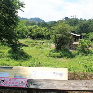 Chapman's Zebra (Equus quagga chapmani) enclosure