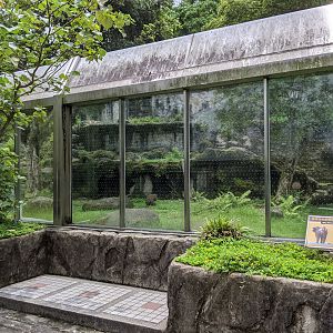 Olive Baboon (Papio anubis) enclosure