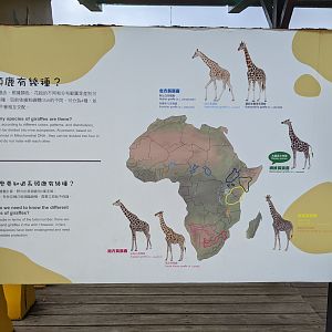 Giraffe signage
