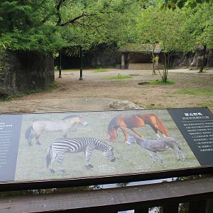 Przewalski's Horse (Equus przewalskii) signage