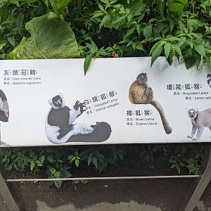 Lemur signage