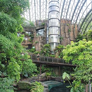 Pangolin Dome interior