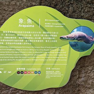 Example of signage in the Pangolin Dome