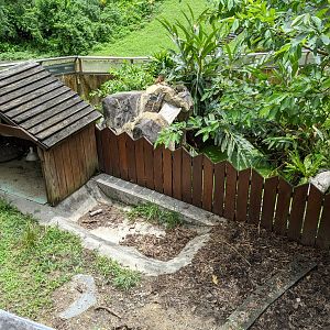 Enclosures outside the Reptile House