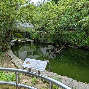 Turtle pool outside the Reptile House