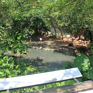 Bird World - first walk-through aviary