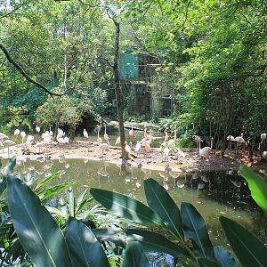 Bird World - first walk-through aviary