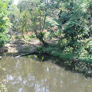 Bird World - first walk-through aviary
