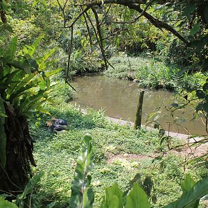 Bird World - first walk-through aviary