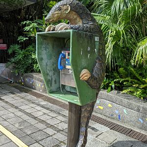 Pangolin phone box