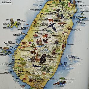 Taiwan map