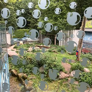 Polar bear enclosure