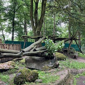 North American porcupine and Striped skunk exhibit