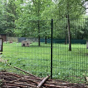 European white stork enclosure