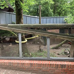 Domestic ferret cage