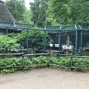 Northern raccoon cage