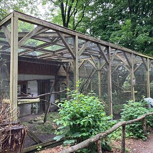 Emperor bearded tamarin cages