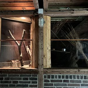 Eurasian harvest mouse habitat