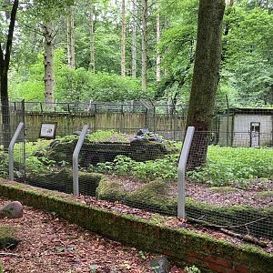 Former Dingo exhibit