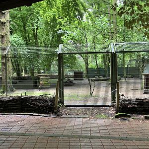 Second maned wolf enclosure