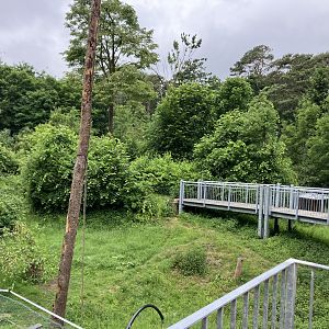 Barbary macaque habitat