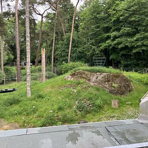 Barbary macaque habitat