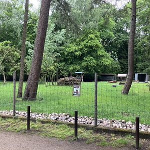 First Reindeer paddock