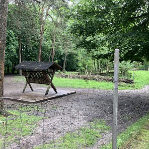 Second Reindeer paddock