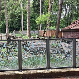 Asian small-clawed otter exhibit