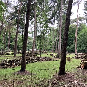 Japanese sika deer exhibit