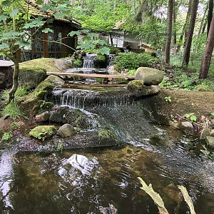 European otter enclosure