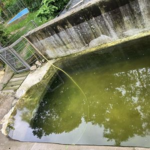 Harbour seal separations