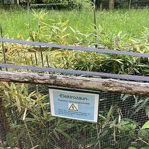 Hotwire against predators on the stand-off barrier at the penguin exhibits