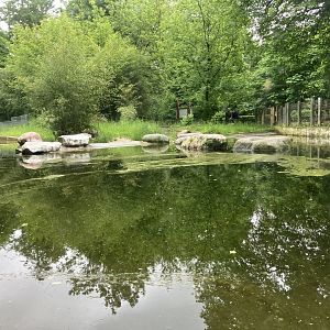 Humboldt’s penguin enclosure