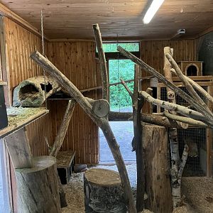 Long-tailed chinchilla enclosure