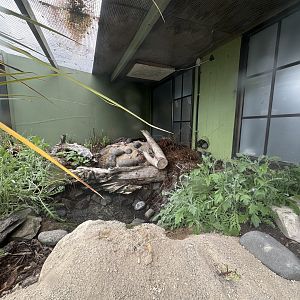 Old Tuatara Exhibit (Empty Exhibit)