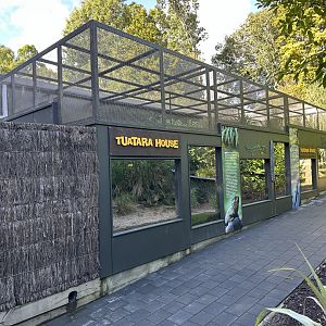 Tuatara House