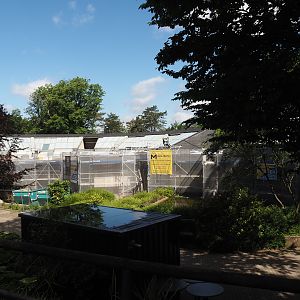 Great ape house roof renovations, 2025-05-30