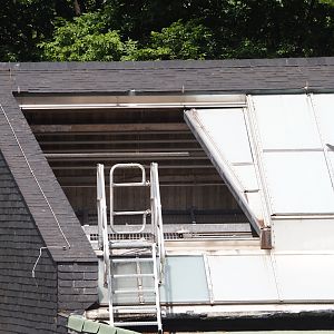 Great ape house roof renovations, 2025-05-30