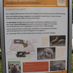 Rivers of Sulawesi (Babirusa and Asian small-clawed otter exhibit) construction signage, 2025-05-30