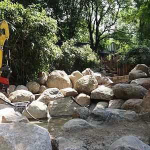 Rivers of Sulawesi (Babirusa and Asian small-clawed otter exhibit) construction, 2025-05-30