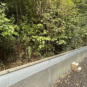 Tuatara Research Enclosure