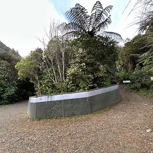 Tuatara Research Enclosure