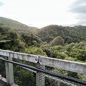 View from Suspension Bridge