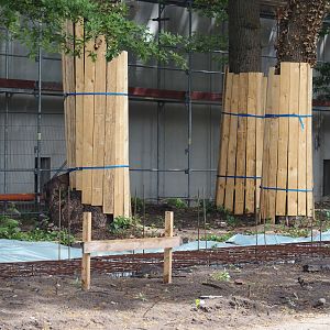 New Amur leopard exhibit construction, 2025-05-23